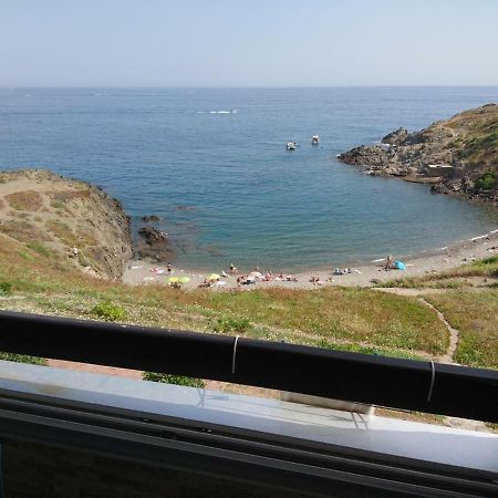 Portvendres Sea View Apartment Port Vendres Exterior foto