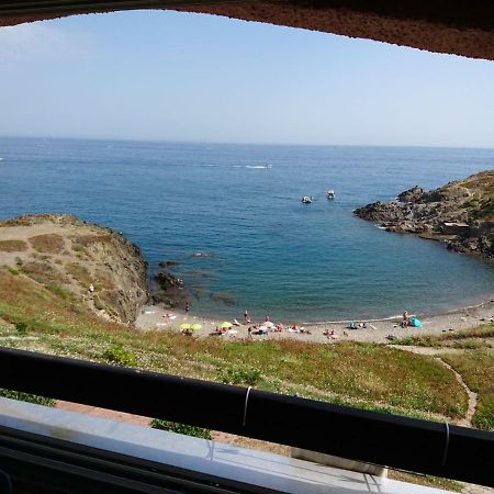 Portvendres Sea View Apartment Port Vendres Exterior foto