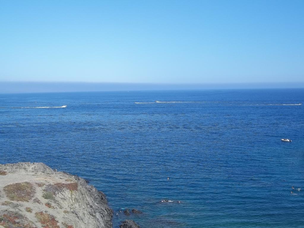 Portvendres Sea View Apartment Port Vendres Exterior foto