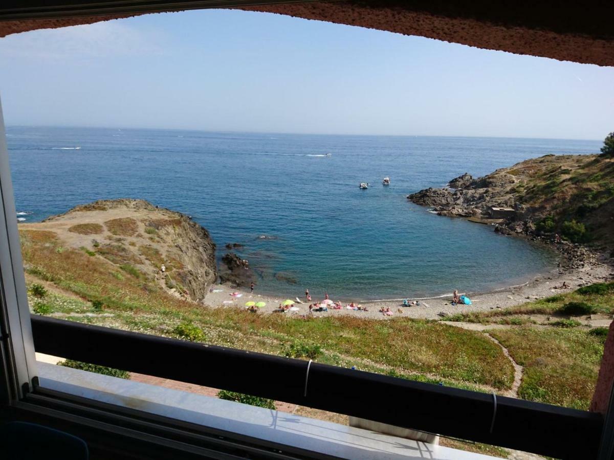 Portvendres Sea View Apartment Port Vendres Exterior foto